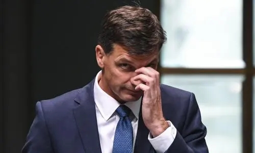Coalition Backbenchers Busy Googling How To Polish A Turd