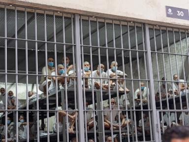 Rights groups sue to free Venezuelans deported from the US and held in El Salvador