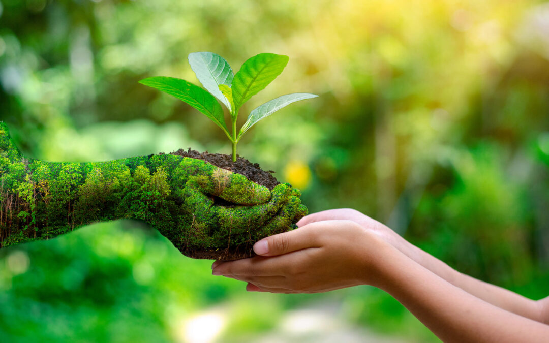 As Australia unleashes a carbon bomb on the planet, here’s some big issues to consider for World Environment Day