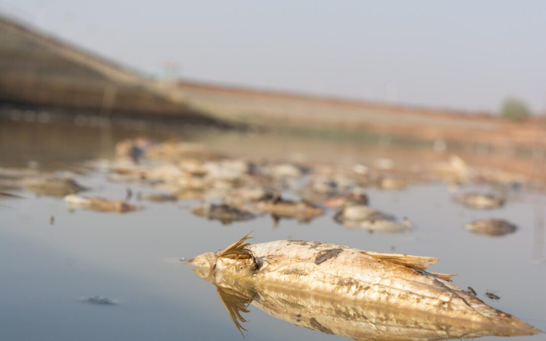 Australian and APAC businesses have their heads in the sand on climate risk, new report shows