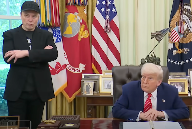 Hell hath no fury like a bro scorned: Trump, Musk and alpha masculinity