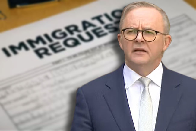 Clear failures, no fixes: The Government's asylum blind spot