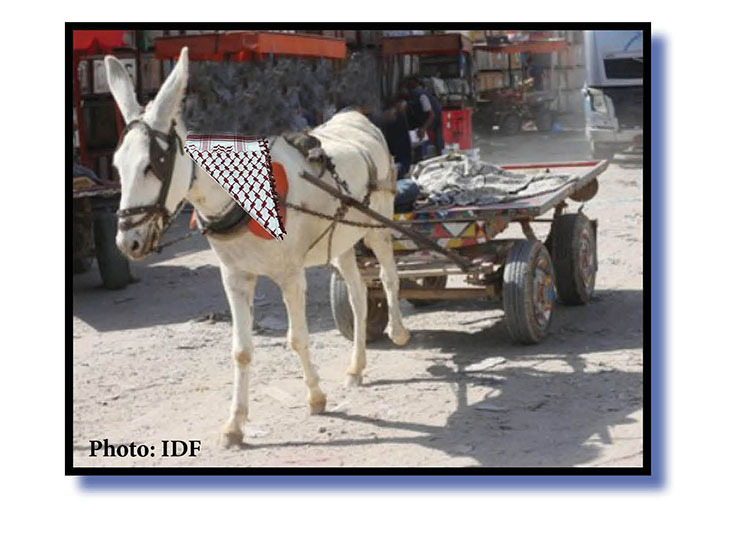 Israel expresses ‘deep regrets’