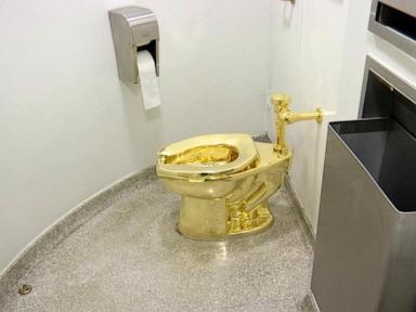 Men who stole $6M golden toilet from English mansion sentenced to prison