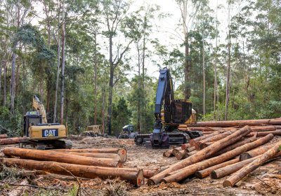 Wilderness Australia: ‘We need real emissions reductions, not offsets’