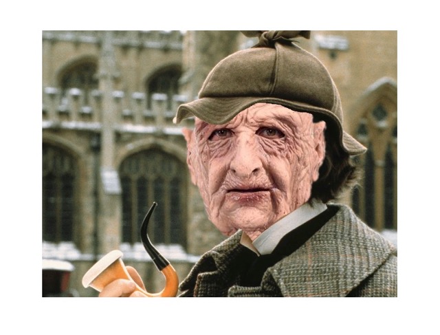 Online sleuth uncovers court bungle