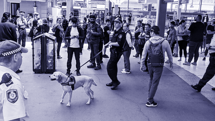 NSW Police Use of Drug Dogs and Strip Searches Slammed as Ineffective and Unlawful