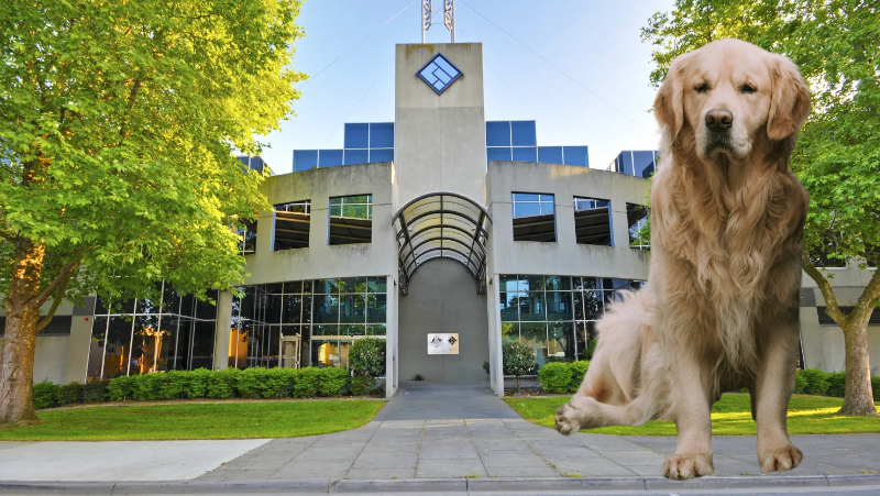 Corporate watch-puppy ASIC is all bark and no bite