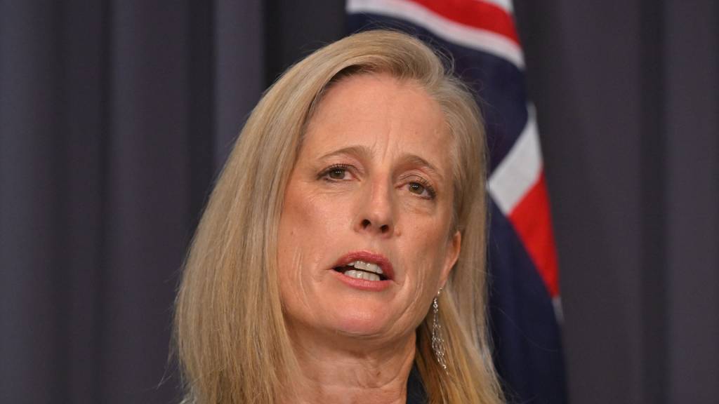 Record-low gender pay gap, rising workforce participation for Australian women