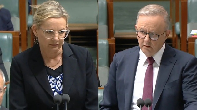 Knives are already out for Leader of the Opposition Sussan Ley