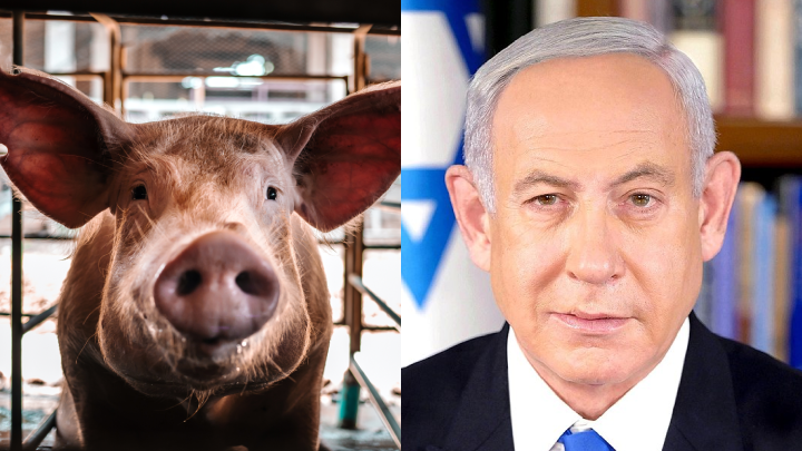 Wanted War Criminal Benjamin Netanyahu Has Called Our Prime Minister “Weak”
