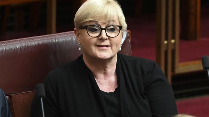 All Australians To Be Made Pay A Levy Just In Case They Offend Linda Reynolds