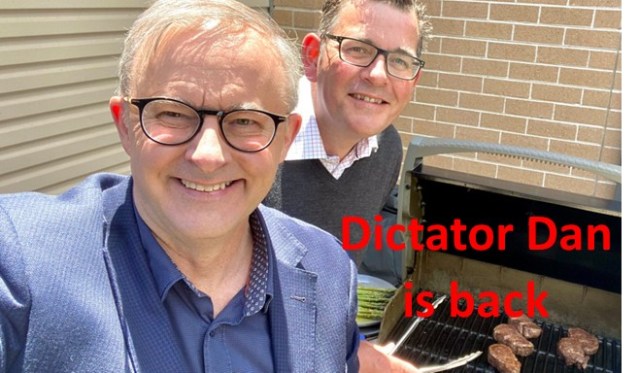 Anthony Albanese’s former flatmate, “Dictator Dan” Andrews, cashes in on his Chinese connections