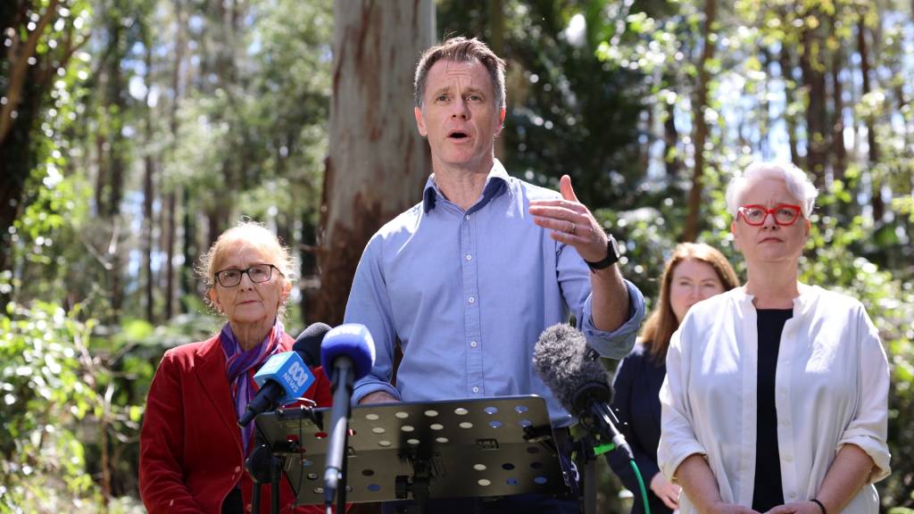 Minns overhauls NSW public service redundancy payments amid jobs cull