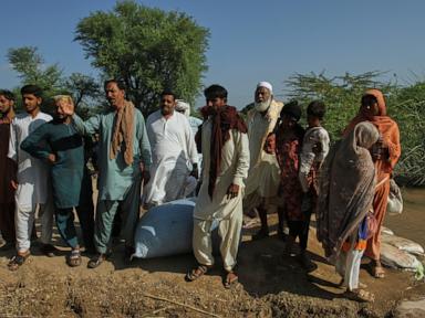 Pakistanis displaced by flooding in Punjab return to find homes and crops destroyed