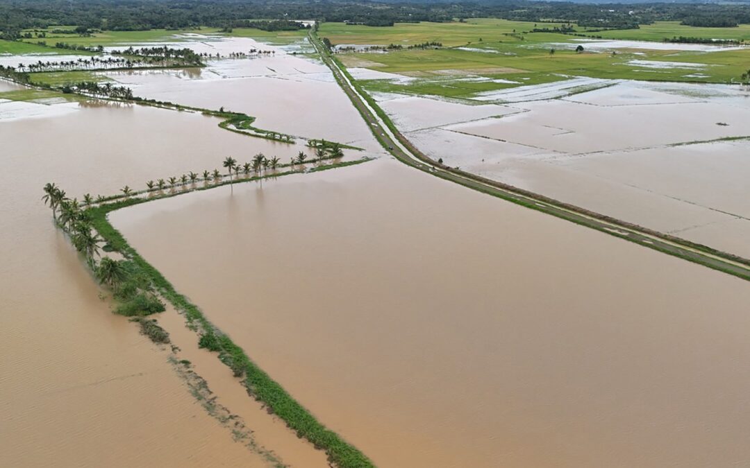 Thousands evacuate Philippine coast as Tropical Storm Fengshen approaches