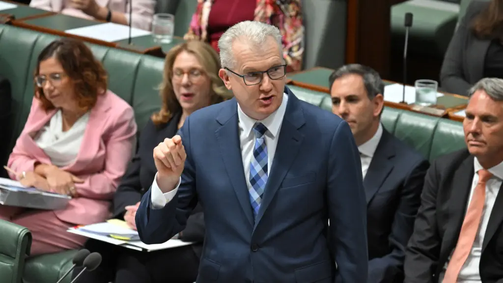 ‘Most cyber incidents preventable’: Burke’s warning to Australians