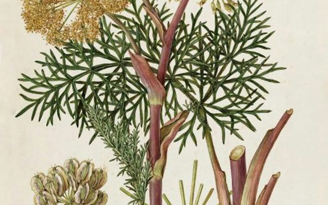 A 2,000-year history of chucking a sickie