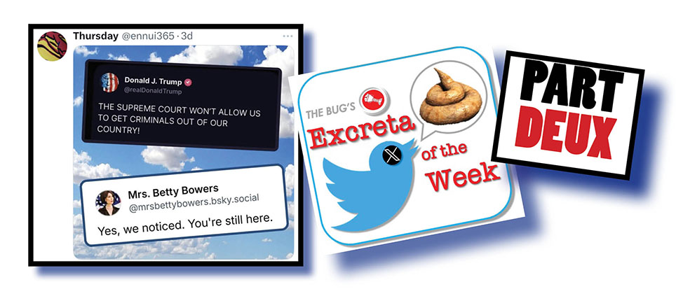 The Orange Oaf never disappoints!