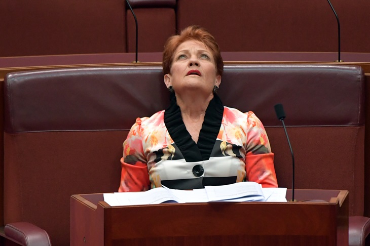 Pauline Hanson proves we have a two-tier senate