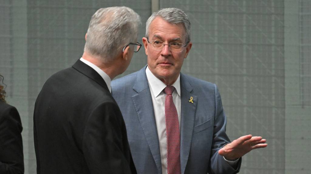 Mark Dreyfus asked to ‘renew’ Australia’s status as global human rights champion