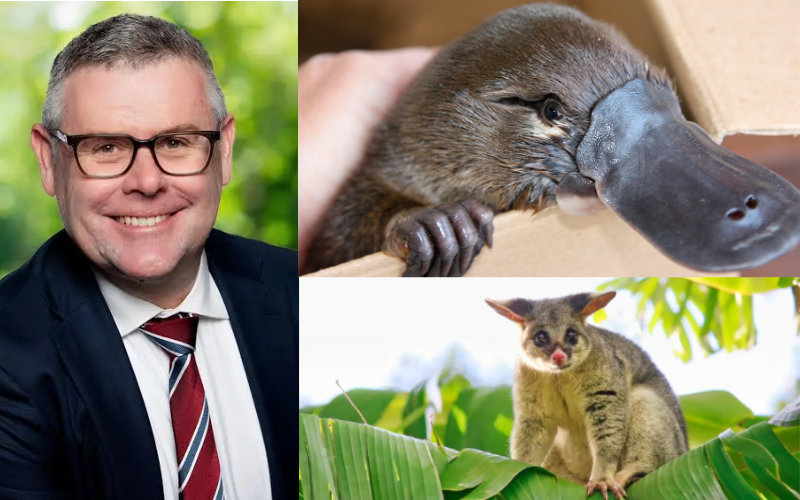 From ‘net zero’ to ‘net gain’. The platypus-to-possum exchange rate