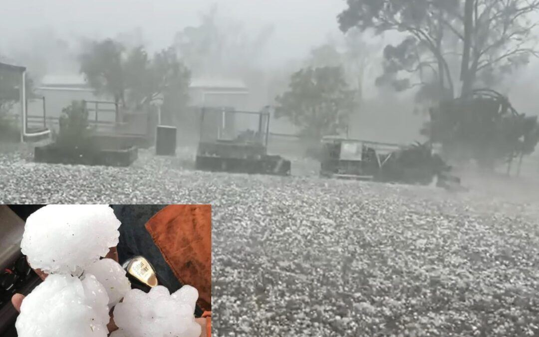 ARENA; Queensland grid; V2G charging; aviation fuel