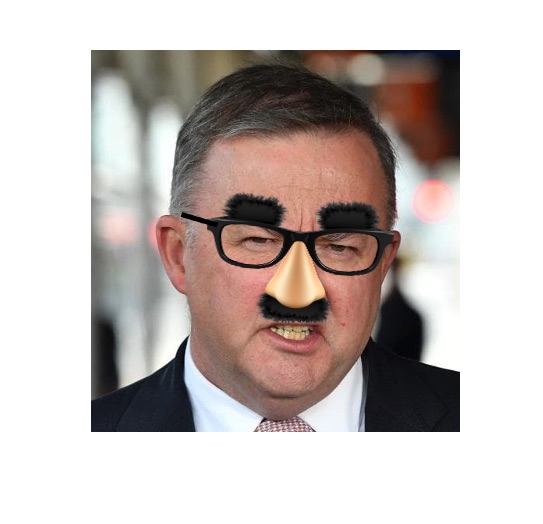 MPs stand up for Ley