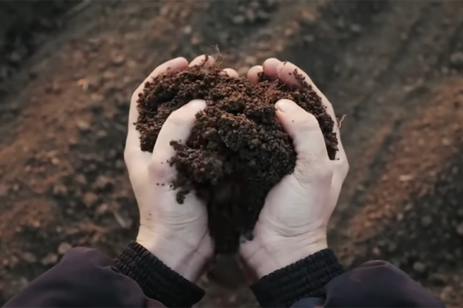 The silent mineral deficiency no one talks about