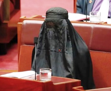 Conservative Liberals back net-zero