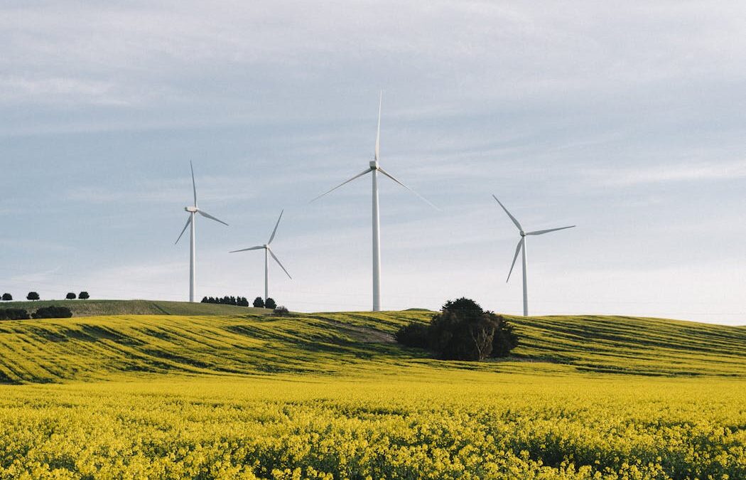 As global climate action threatens to stall, can Australia step up at COP30 in Brazil?