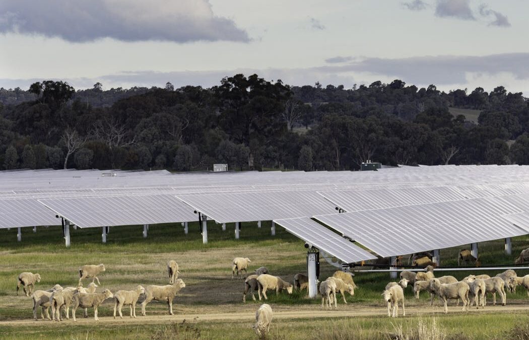 Own goal: why the Nationals’ retreat on net zero would be bad economics