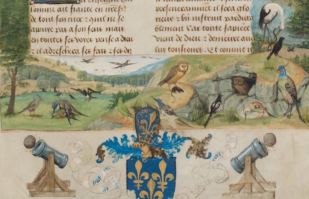 Bird sex fascinated medieval thinkers as much as people today