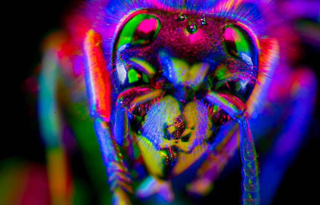 Are animals and AI conscious? We’ve devised new theories for how to test this