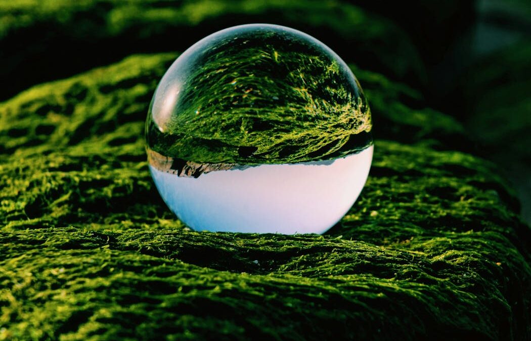 Behind every COP is a global data project that predicts Earth’s future. Here’s how it works