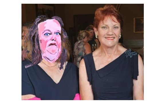 Hanson admits ‘brief’ Trump chat