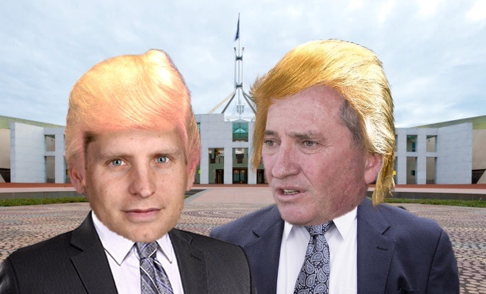 MPs defend abortion remarks