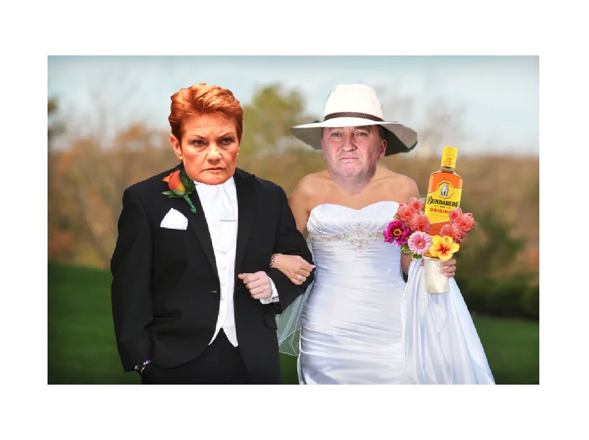 Second secret political marriage revealed!