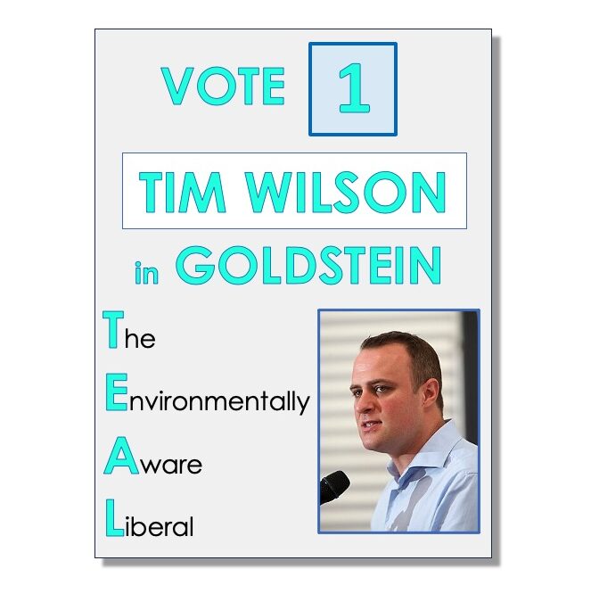 City Liberal adjusts poll tactics