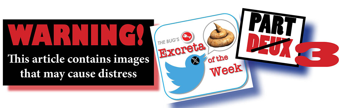 Bibi blanketed in shit!