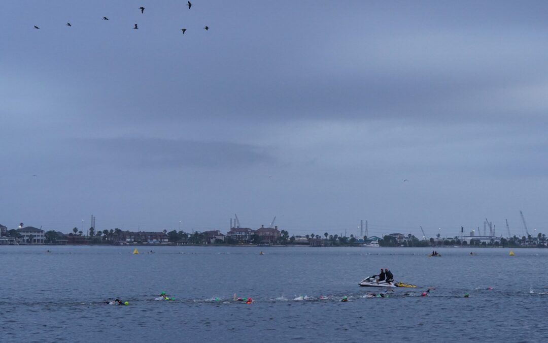 Mexican Navy plane crashes off US coast, killing five