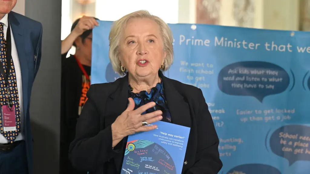 New federal body, ministry proposed to protect vulnerable children