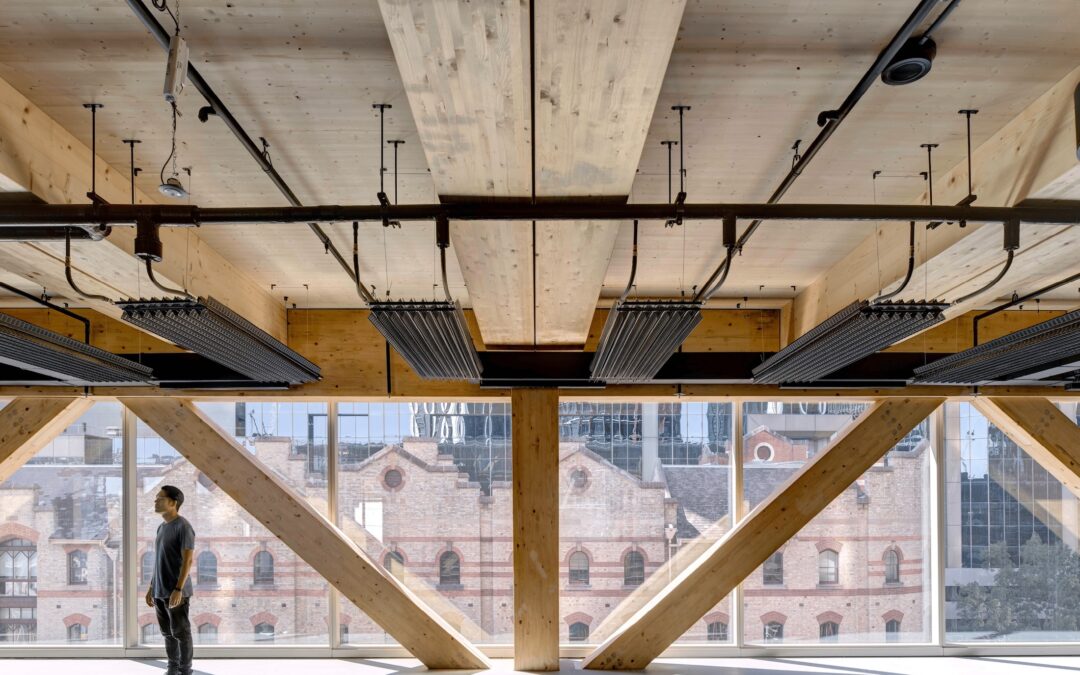 On timber and testy views