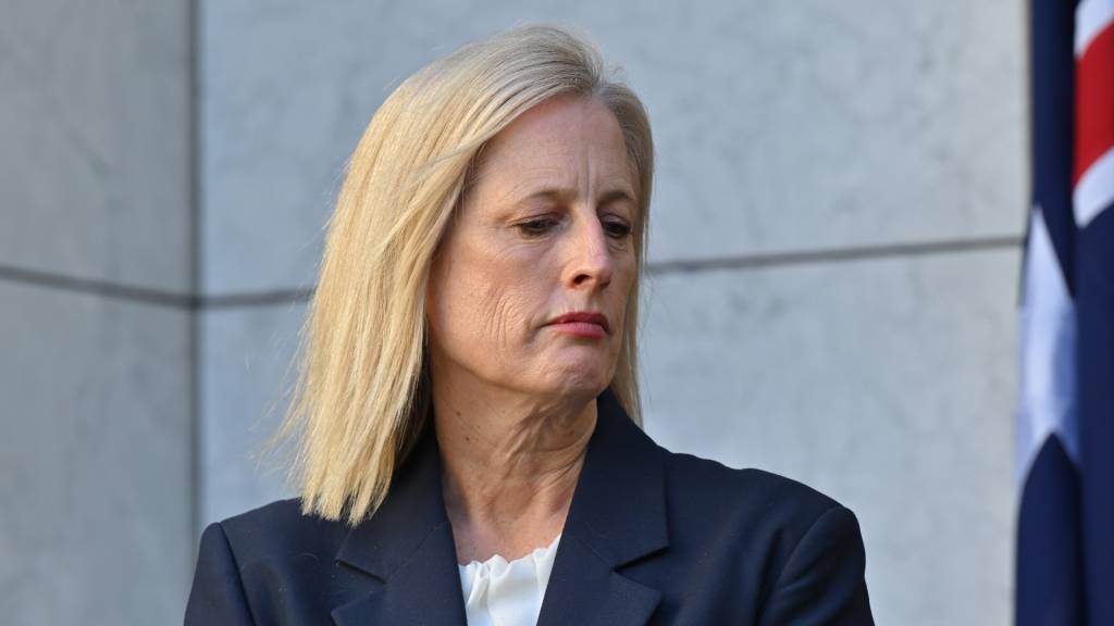 ‘Is this Labor’s robodebt?’: Welfare advocates slam escalating failures