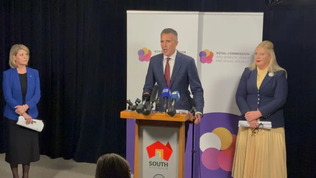 SA domestic violence royal commission prompts $674 million response
