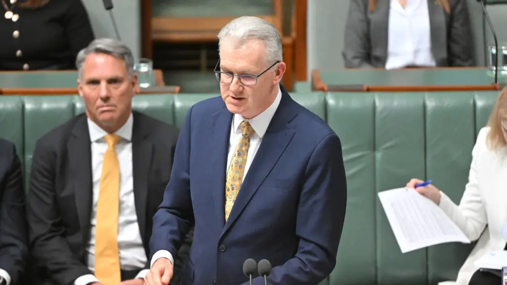 Lost in translation: Deloitte puts cost of interpreter shortfall at $2bn