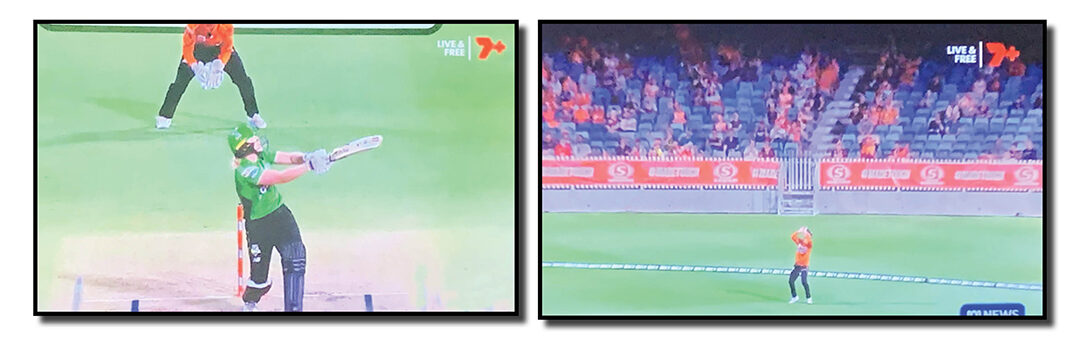 A Walker in the park!