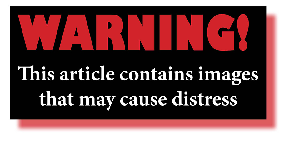 Continue reading if you’re game!