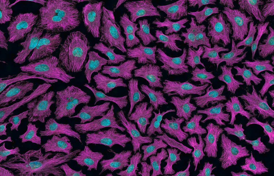 What’s the difference between a tumour and cancer?