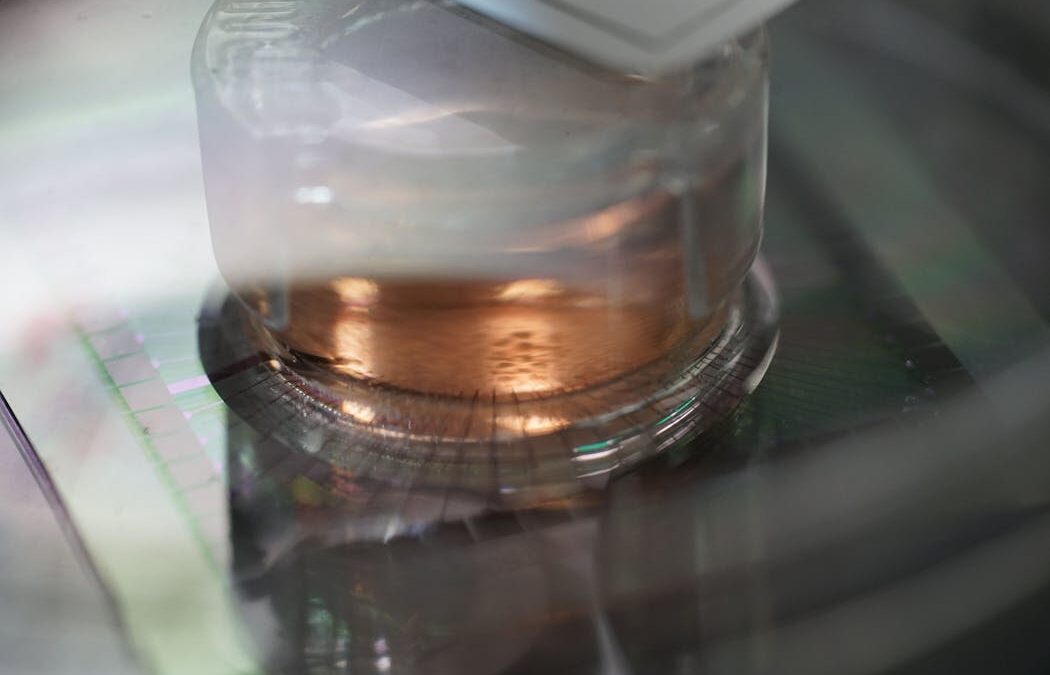 How scientists are growing computers from human brain cells – and why they want to keep doing it